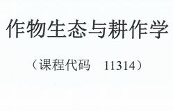 自考试卷