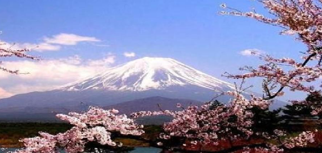 日语自考本科
